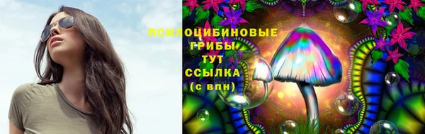 крисы Балахна