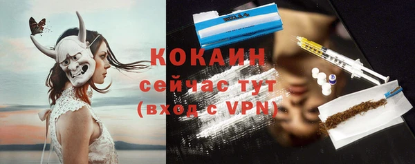 крисы Белокуриха
