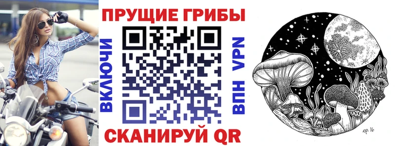 Галлюциногенные грибы мицелий MEGA зеркало Воркута купить наркоту